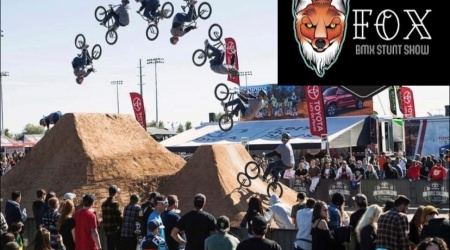 Fox BMX